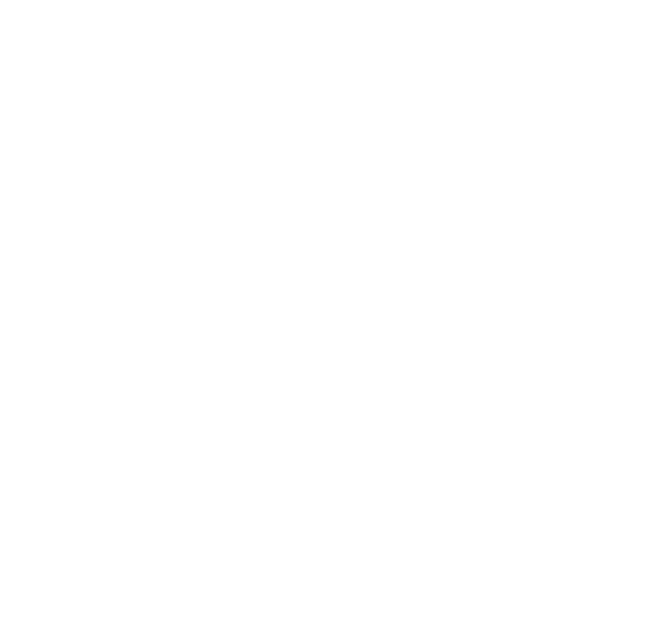 Araye.sh Logo