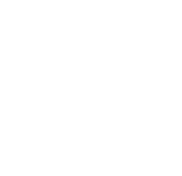 Toranj Logo