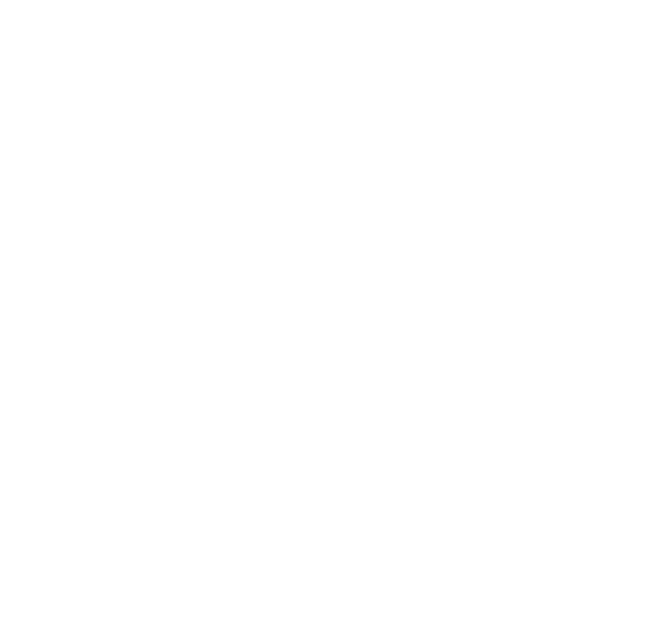 Bime Kala Logo