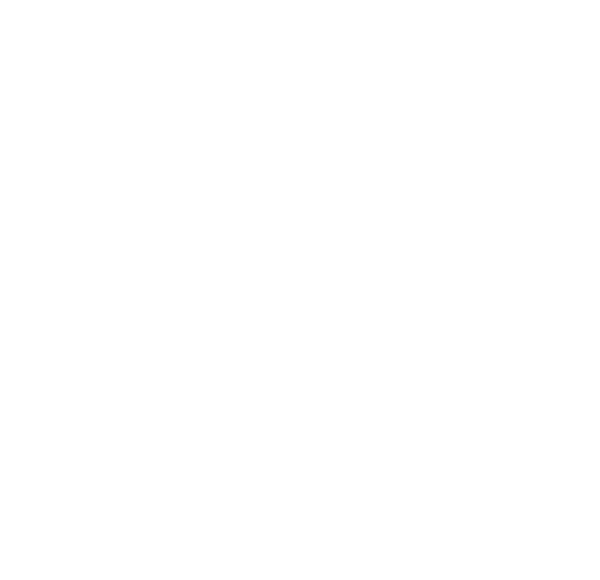 Bio Mezon Logo