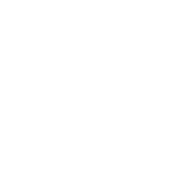 Diyar Steel Logo